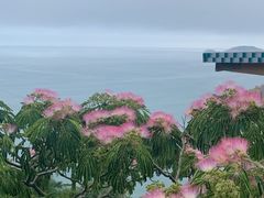 -枸杞岛