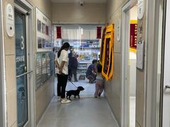 -谐和益家动物医院·免疫绝育·血液透析·宠保定点医院(高新伊藤分院)