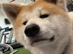 -YCHL Studios健身工作室(市二宫店)