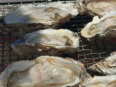 -蚝贝乐鲜蚝烤肉烤榴莲自助(金楠天街店)