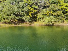 -白马涧龙池景区