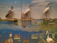 -下渚湖国家湿地公园科普馆