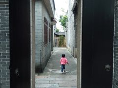 -碧江金楼