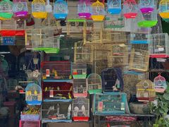 -溪岸路花鸟市场