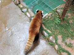 -云南野生动物园