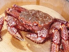 -蟹田居·活蟹料理(东城店)