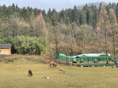 -武陵山森林公园