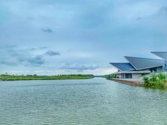 -盐城丹顶鹤湿地生态旅游区