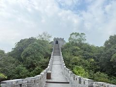 -黄贤森林公园