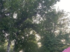 -山东理工大学