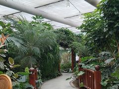 -春满园生态餐厅(南宫路店)