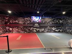 -VS SPORTS PARK运动玩乐园·团建·生日会(合生汇店)