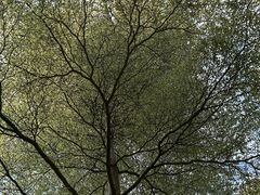 -东莞植物园