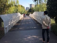 -南翔镇银翔湖公园
