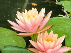-海淀公园