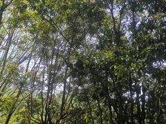-武当山风景区