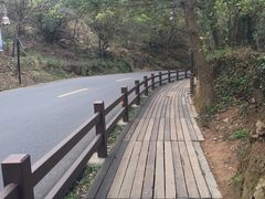 -普陀山风景区-佛顶山