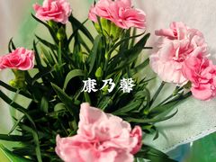 -双季花艺园艺市场(浦东店)