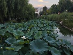 -丁家河公园