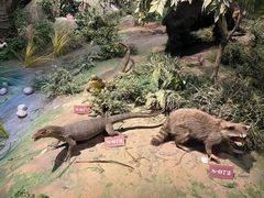 -陕西自然博物馆