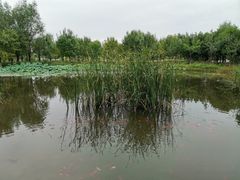 -东郊湿地公园