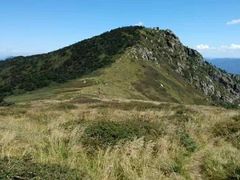 -牛背梁国家森林公园