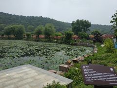 -龙寺生态园