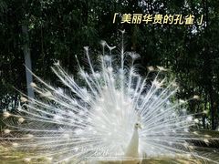 -泉州海丝野生动物世界