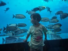 -瑞德姆美人鱼海底演艺主题餐厅(亚龙湾店)