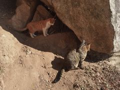 -终南山南五台景区