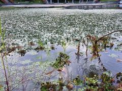 -白塘生态植物园