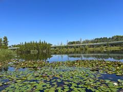 -白鹭湾湿地公园