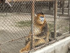 -哈尔滨北方森林动物园