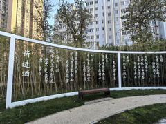 -唐城墙遗址公园