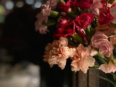 -春暖花开(西溪店)