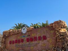 -世界恐龙谷景区