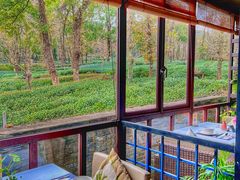 -野蔓果·山野菜(西湖景区·龙井茶田店)