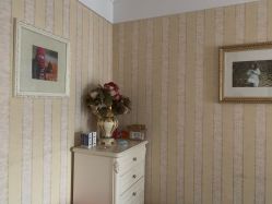 -大美臻喜母婴(重庆创始店)