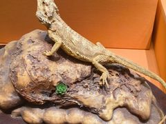 -天津自然博物馆