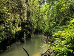 -怀托摩萤火虫洞