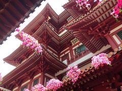 -新加坡佛牙寺龙华院