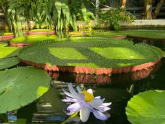 -国家植物园南园