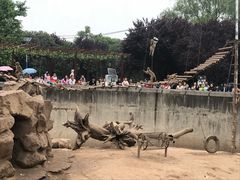 -西安秦岭野生动物园