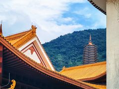 -深圳仙湖植物园-停车场