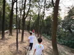 -火炉山森林公园