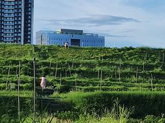 -光明小镇欢乐田园