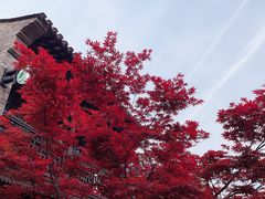 -老门东历史文化街区