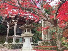 -常寂光寺