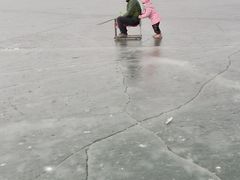 -丁香湖公园