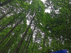 -同里国家湿地公园